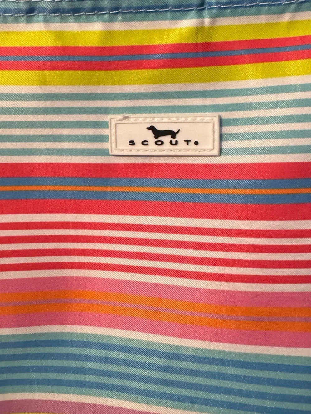 Scout nooner lunch bag